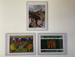 Mini UVM Bundle