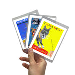 Mini Cat Bundle