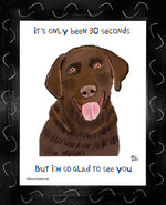 P1578 Glad Chocolate Lab