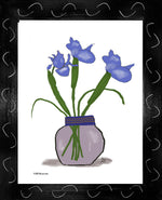 P1553 Blue Iris