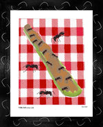 P1536 Ants on a Log