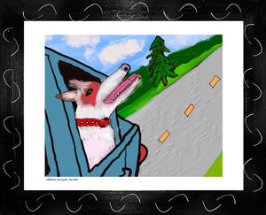 p1533 Dog Enjoying The Ride