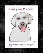 P1580 Glad White Lab