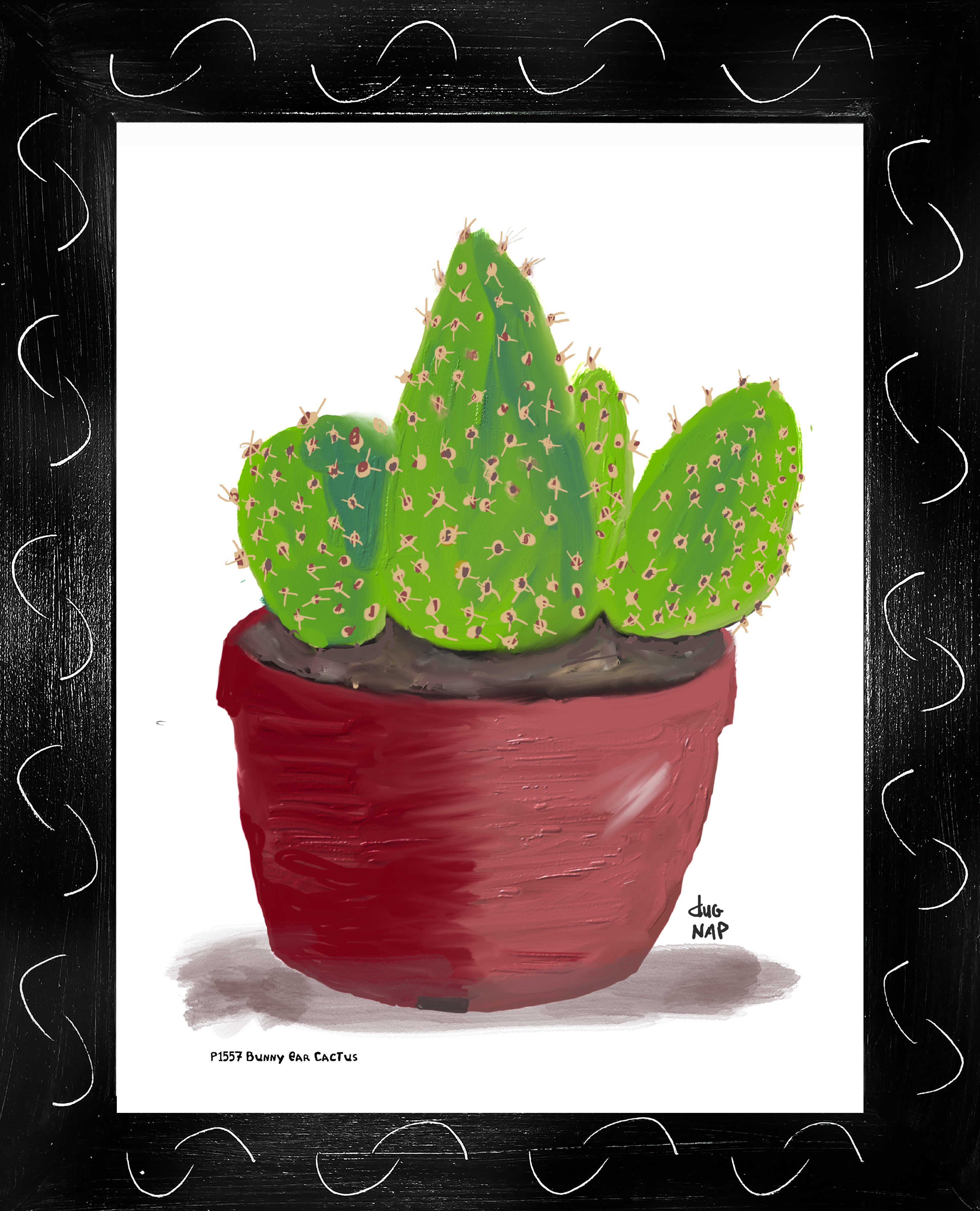 P1557 Bunny Ear Cactus