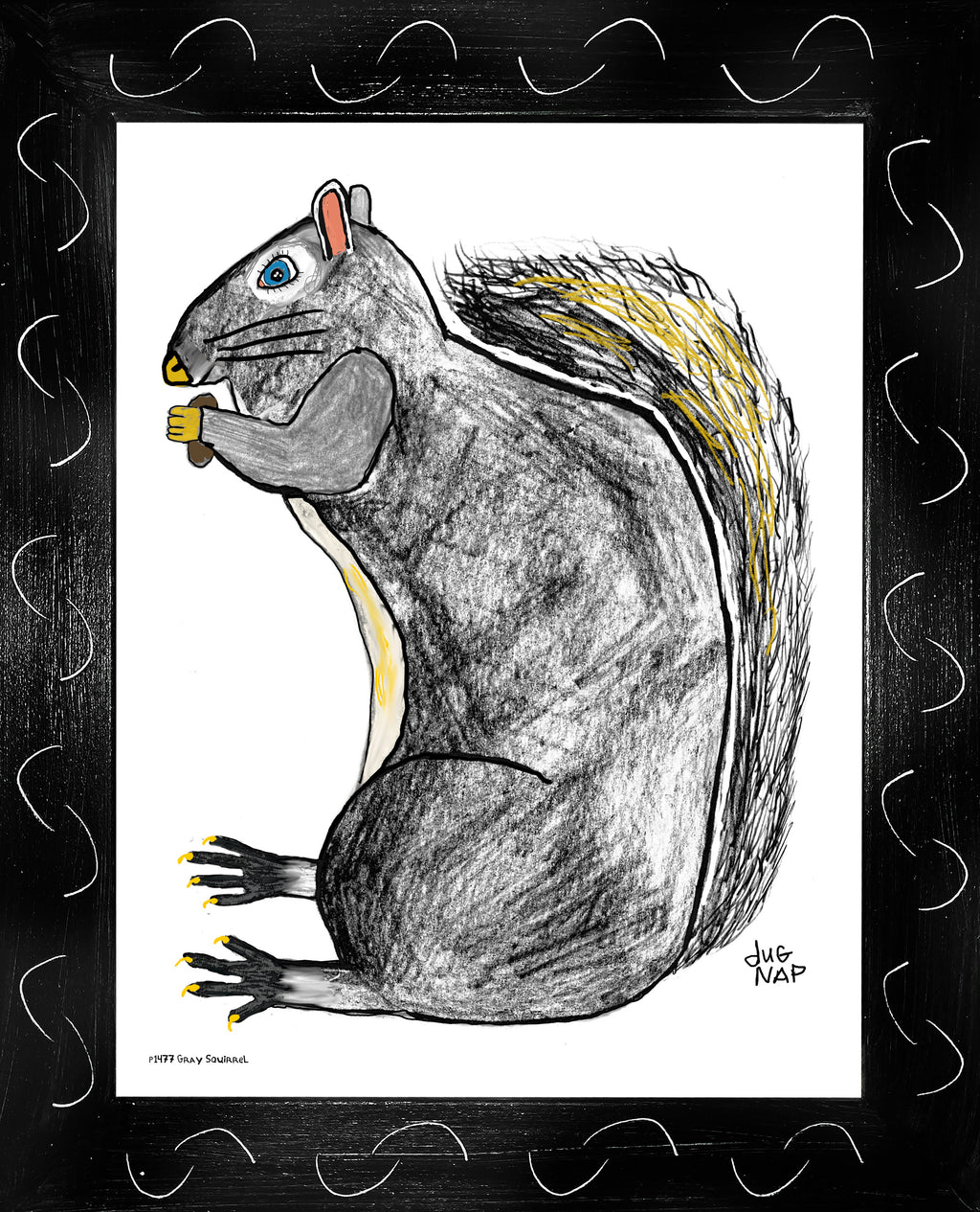 p1477 Gray Squirrel