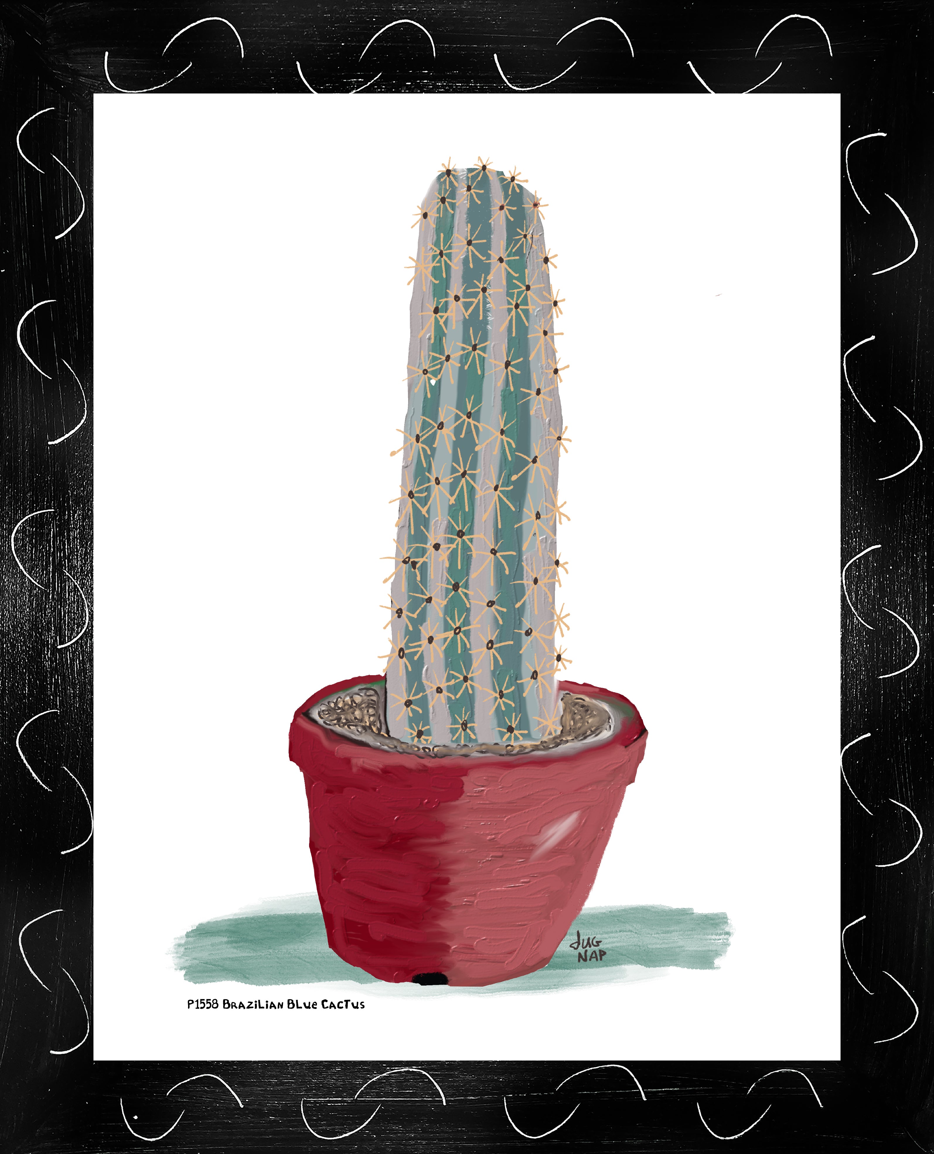 P1558 Brazilian Blue Cactus