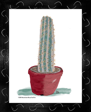 P1558 Brazilian Blue Cactus