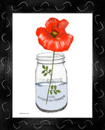 p1455 Amaryllis In A Jar