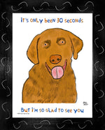 P1579 Glad Yellow Lab