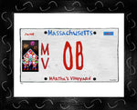 p856 MV Plate - OB