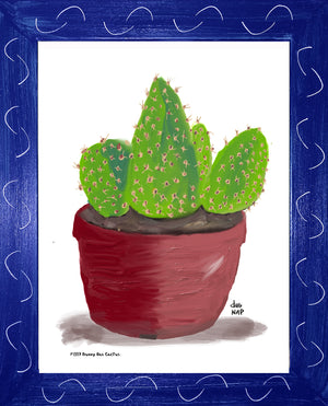 P1557 Bunny Ear Cactus