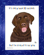P1578 Glad Chocolate Lab