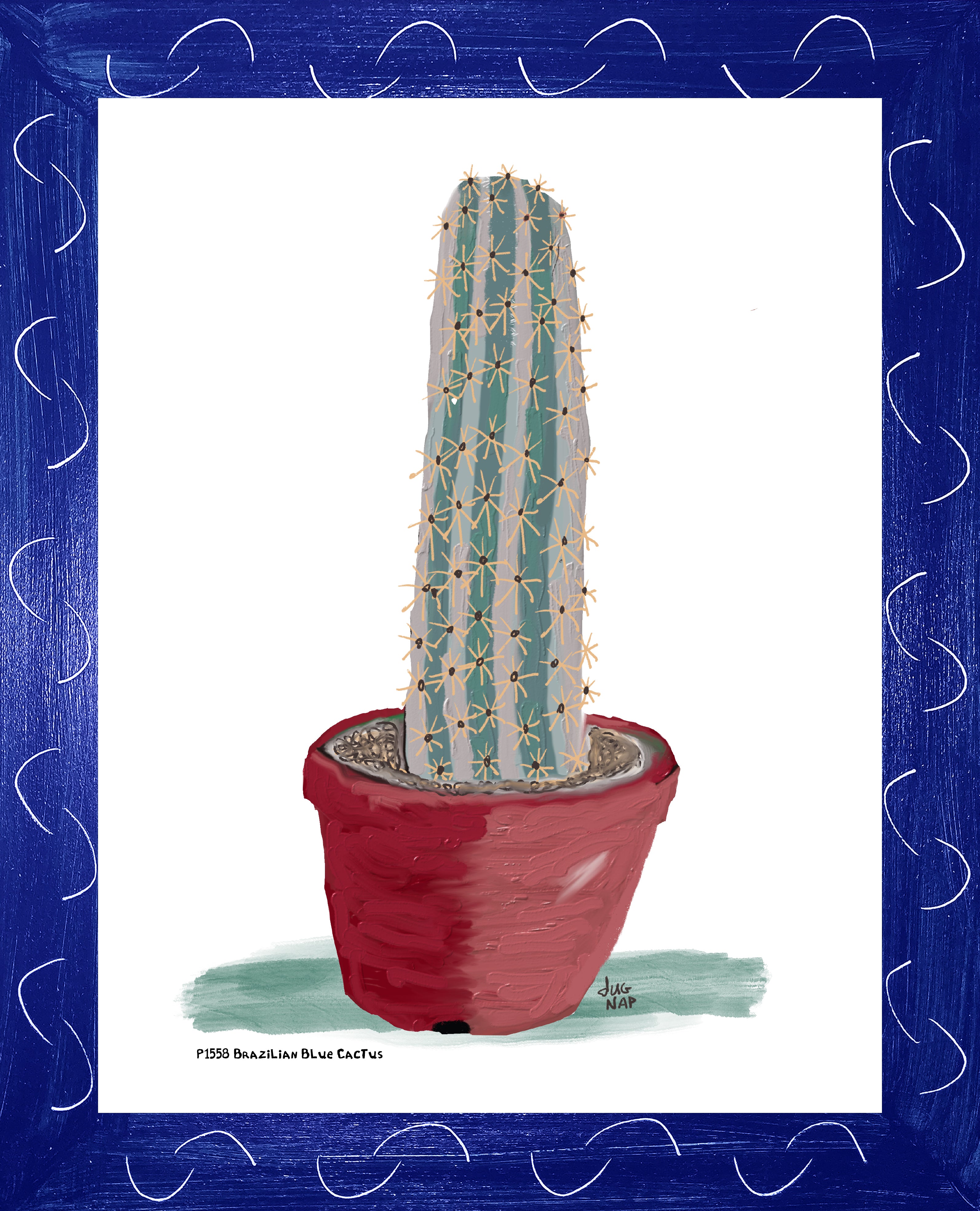 P1558 Brazilian Blue Cactus