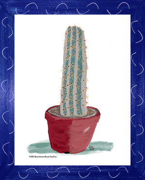 P1558 Brazilian Blue Cactus