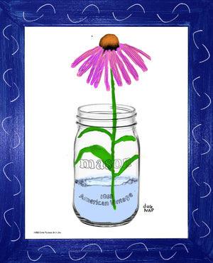 p1458 Coneflower In A Jar