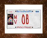 p856 MV Plate - OB