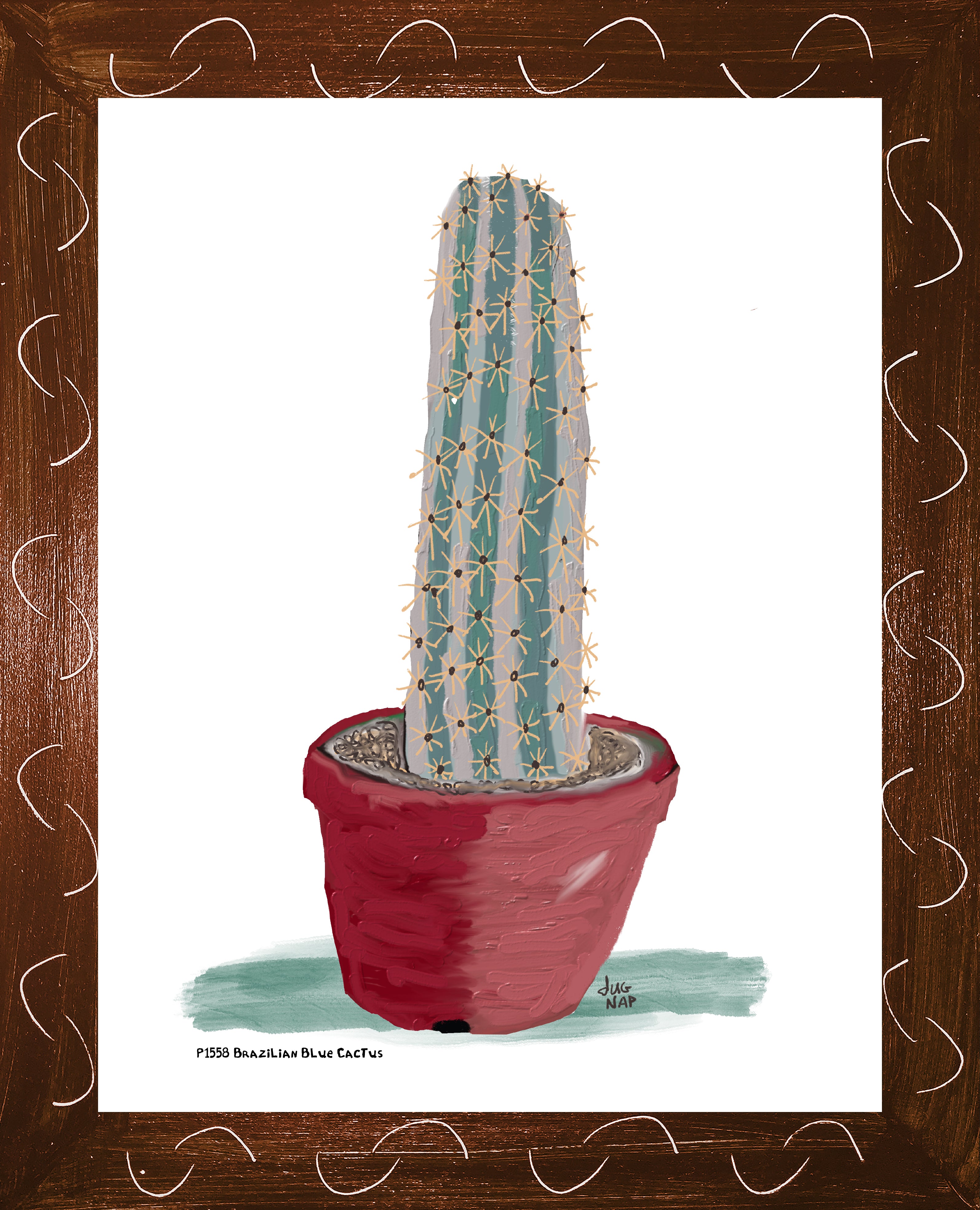 P1558 Brazilian Blue Cactus
