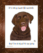 P1578 Glad Chocolate Lab