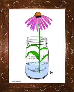 p1458 Coneflower In A Jar