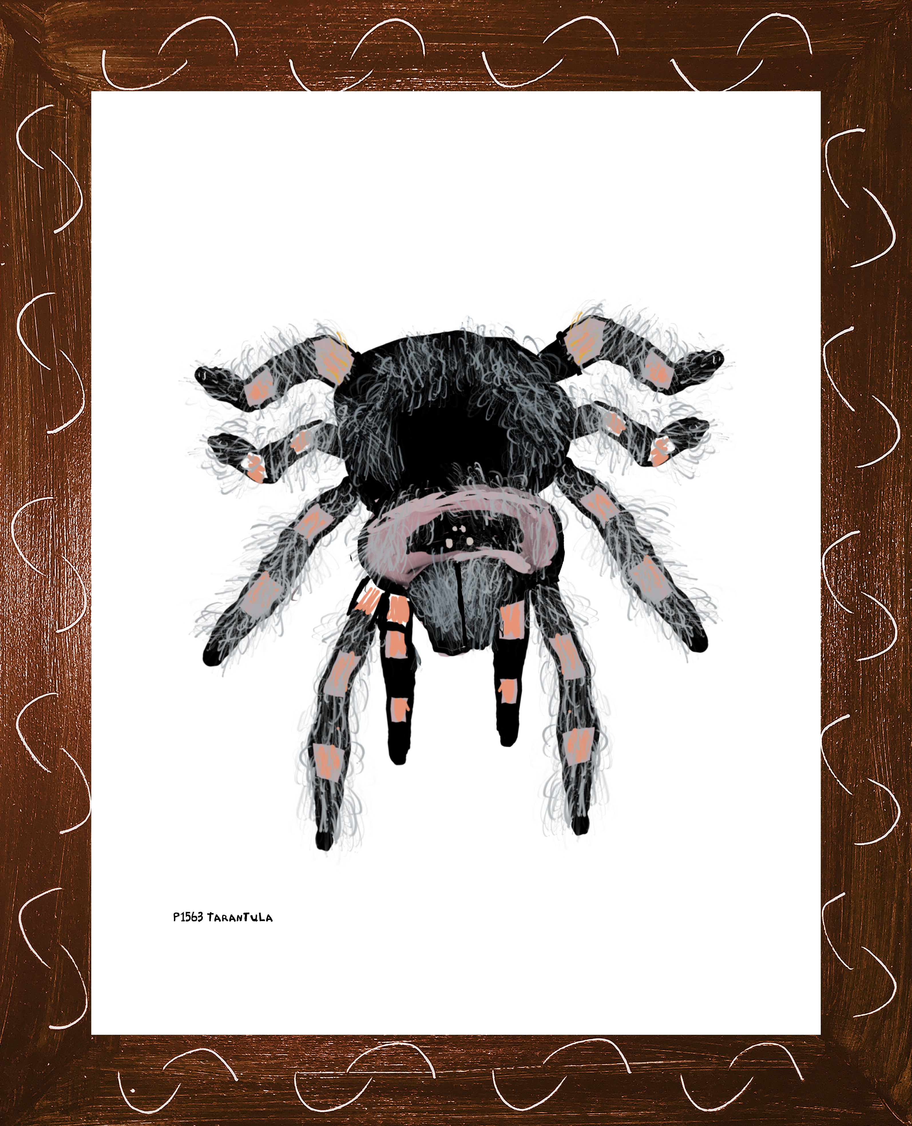 P1563 Tarantula