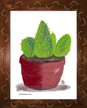 P1557 Bunny Ear Cactus