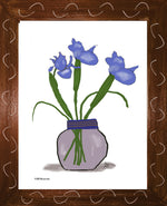 P1553 Blue Iris