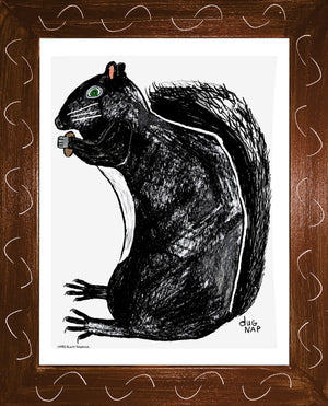 p1470 Black Squirrel