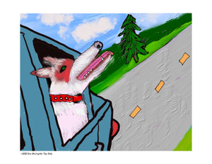 p1533 Dog Enjoying The Ride