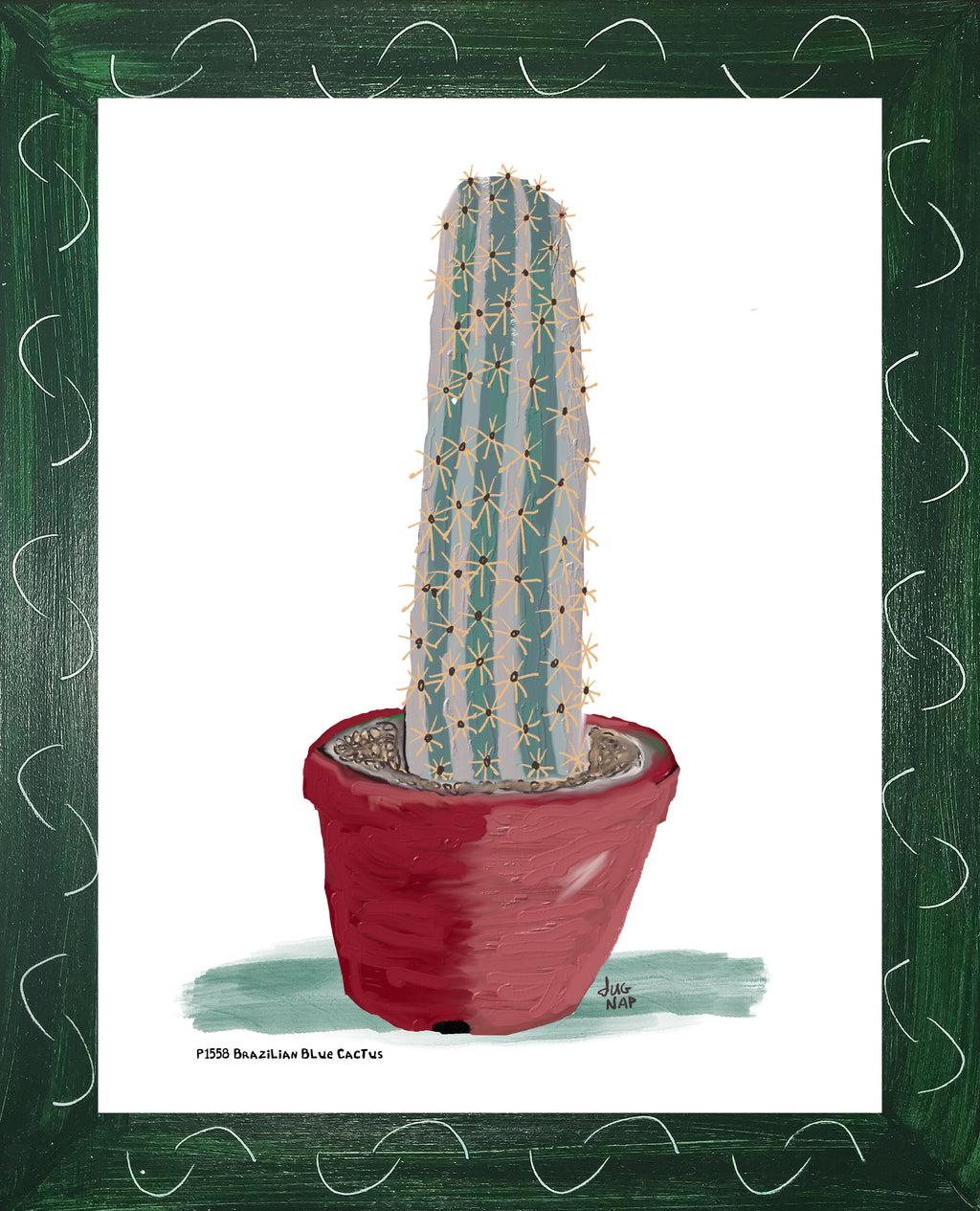 P1558 Brazilian Blue Cactus