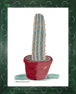 P1558 Brazilian Blue Cactus
