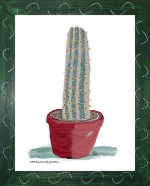 P1558 Brazilian Blue Cactus