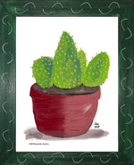 P1557 Bunny Ear Cactus