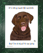 P1578 Glad Chocolate Lab