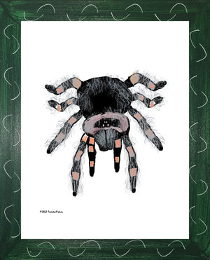 P1563 Tarantula