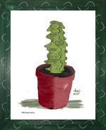P1556 Boobie Cactus