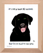 P1577 Glad Black Lab
