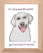 P1580 Glad White Lab