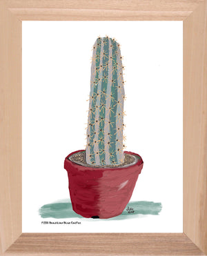 P1558 Brazilian Blue Cactus