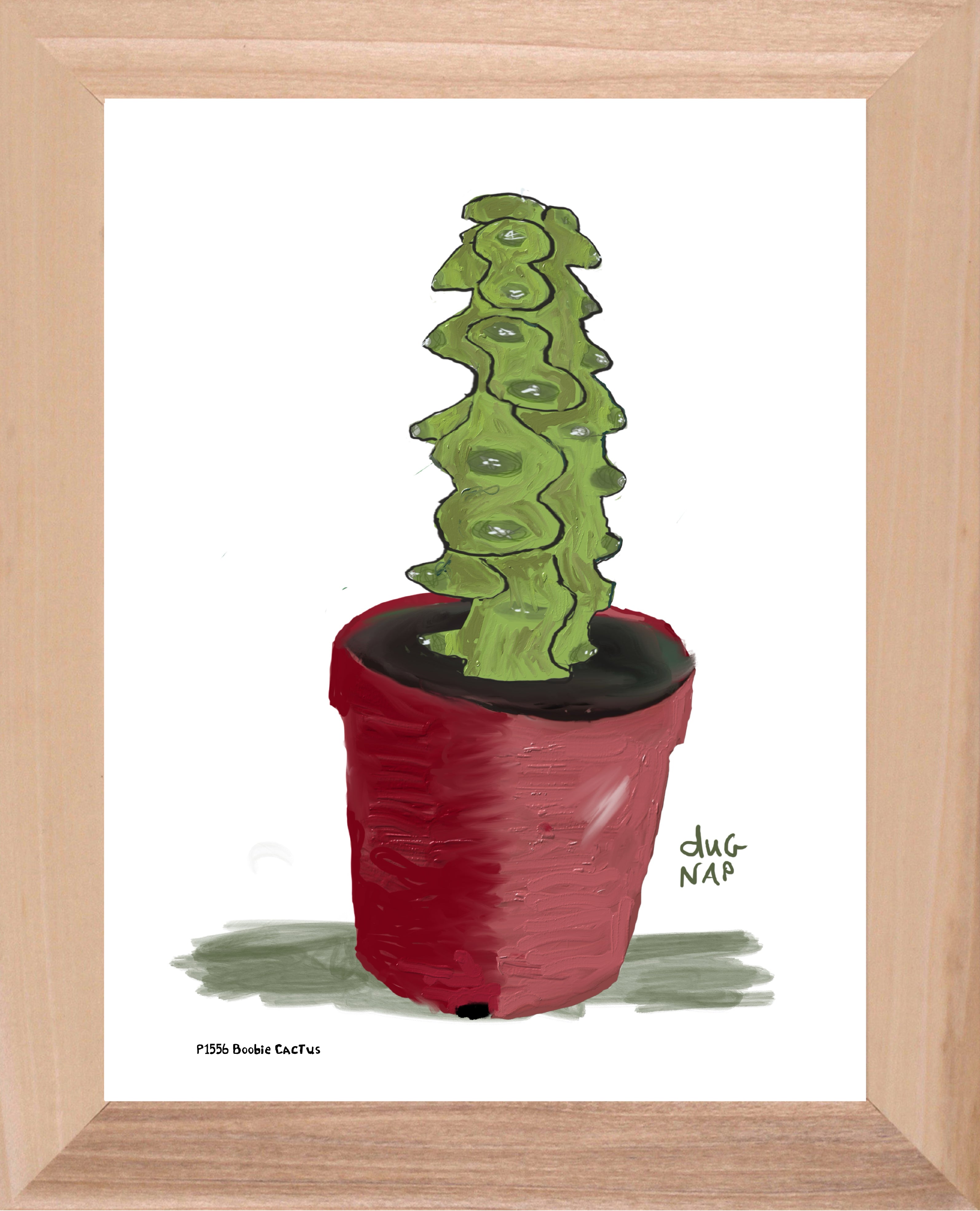 P1556 Boobie Cactus