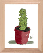 P1556 Boobie Cactus