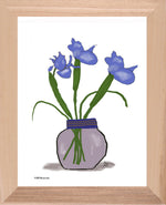 P1553 Blue Iris