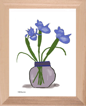 P1553 Blue Iris
