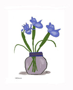 P1553 Blue Iris