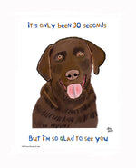 P1578 Glad Chocolate Lab