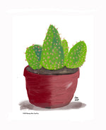 P1557 Bunny Ear Cactus