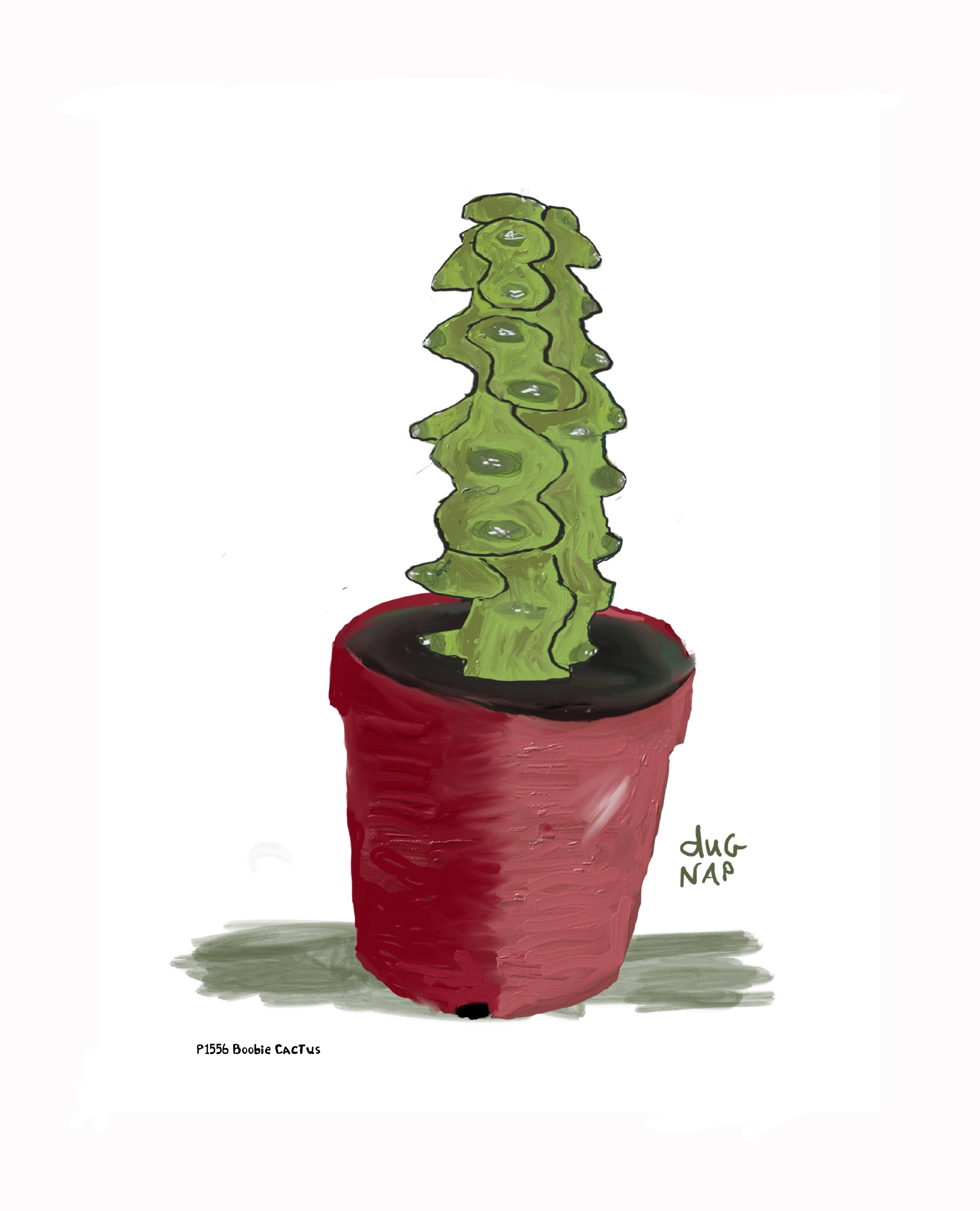 P1556 Boobie Cactus