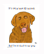 P1579 Glad Yellow Lab