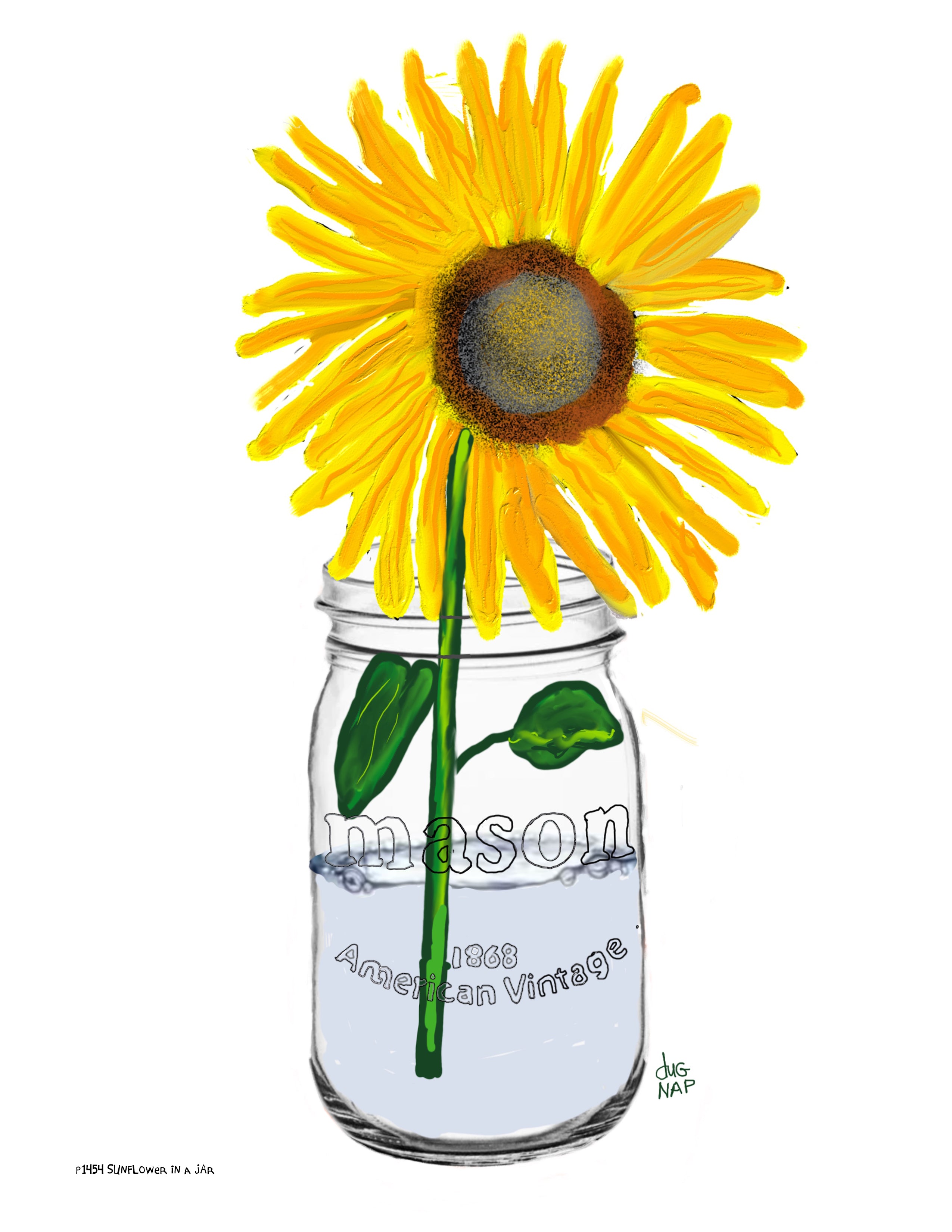 p1454 Sunflower In A Jar