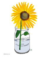 p1454 Sunflower In A Jar