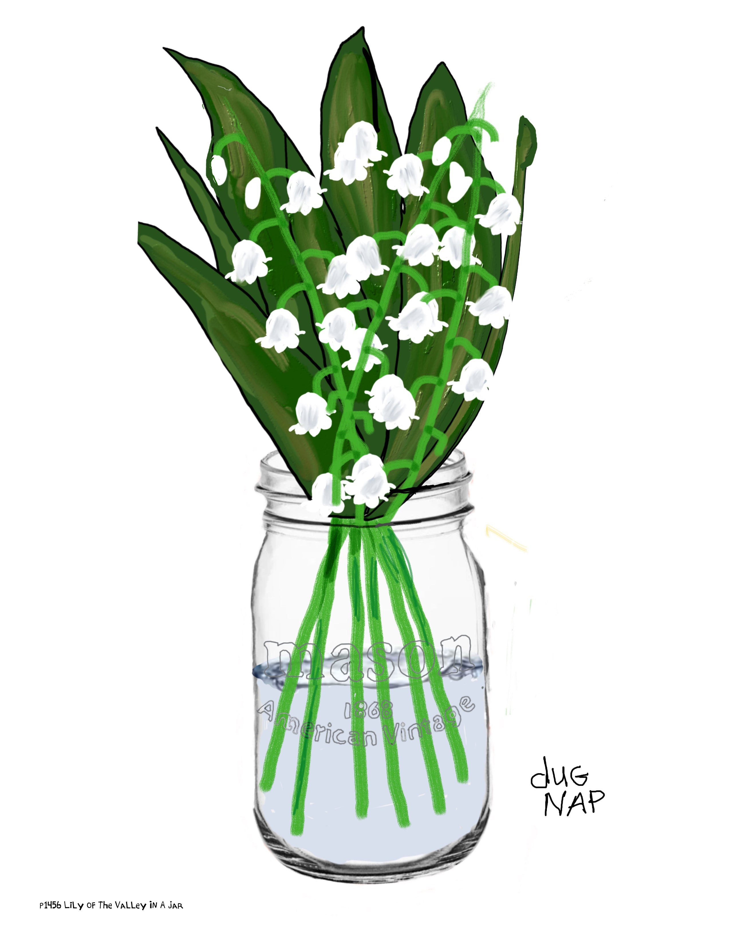 p1456 Lily Of The Valley